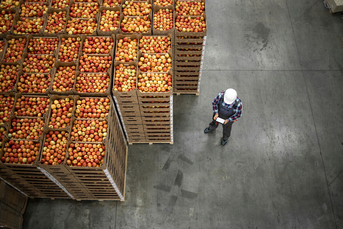 Things You Should Know About UK Food Exports