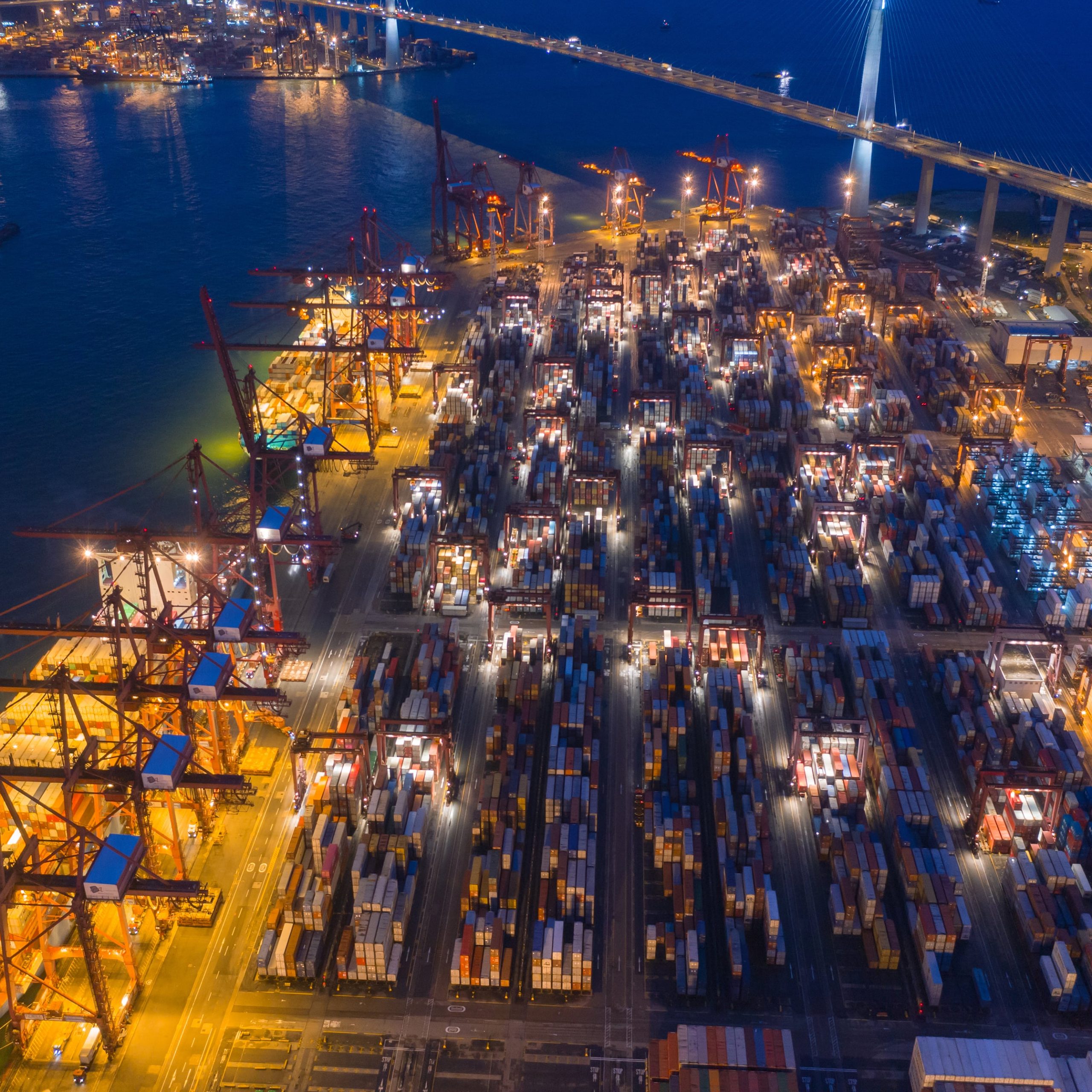 Volatility to Vision: How to Build International Trade Foresight Into Your 2026-2030 Strategy